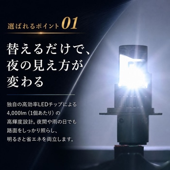 注文コード:80821617 H4 ヘッドライト LED 12v/24v兼用 - 竹村商会