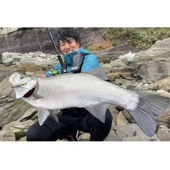 注文コード:60068350 Mareflipp102S+(24) TRANSCENDENCE(トランスセンデンス)