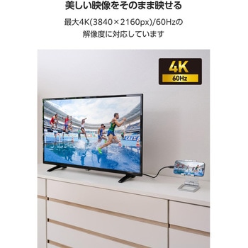 注文コード:60162999 USB-C HDMI 変換ケーブル 3m 4K/60Hz対応 (Windows MacBook Chromebook Android iPhone iPad) ミラーリング エレコム