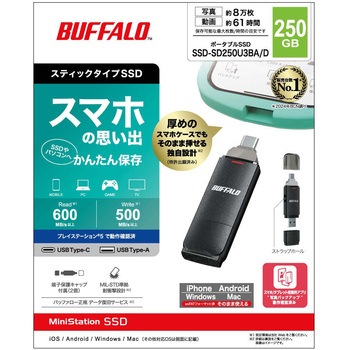 注文コード:60222185 USB3.2(Gen2)Type-C/Aコネクター両対応中低速帯スティック250GBブラック BUFFALO(バッファロー)
