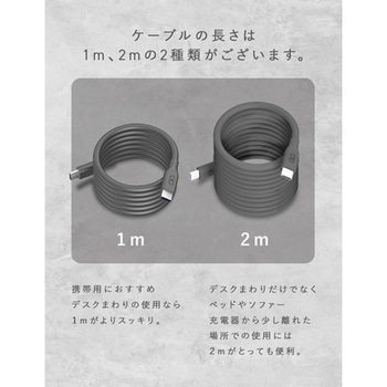 注文コード:60223725 スパイラルシリコンケーブル CtoC 2m(ライトブラック) CIO