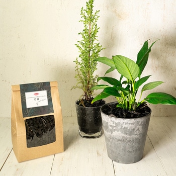 注文コード:60315258 クラフト 竹炭 SUN & HOPE(サンアンドホープ)