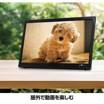 注文コード:60440576 14インチ録画機能付き ポータブルTV ダイアモンドヘッド