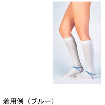 注文コード:60693985,60694001,60694010,60694019,60694028,60694037,60694046,60694055,60694071,60694080 ファインサポート 膝下 ハイソックス 1ケース 20本×4箱入 FS-Hシリーズ 東レ・メディカル