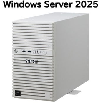 注文コード:60730157 T110m Xeon 4C/16G/2TB*2/R1/W25 NEC