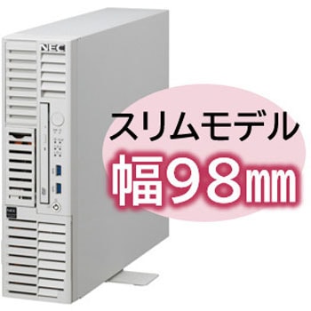 注文コード:60730218 T110m-S Xeon 4C/16G/600GB*3/R5/W22 NEC