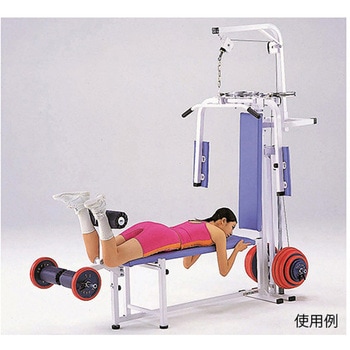 注文コード:60830415 コンビネーションベンチ 淡野製作所