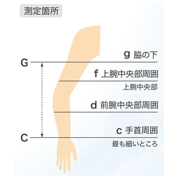注文コード:60866779,60866788,60866797,60866806,60866815 上肢用ストッキング クラスII RALクラス 23~32mmHg CP2-ASBEシリーズ 東レ・メディカル