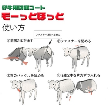 注文コード:61264589,61264598,61264607,61264616 モーっとほっと冬用 USIMO