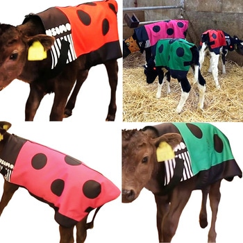 注文コード:61264589,61264598,61264607,61264616 モーっとほっと冬用 USIMO