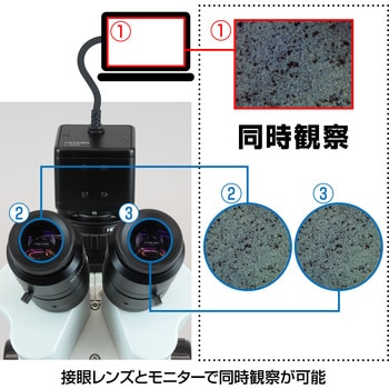 注文コード:61514568 三眼実体顕微鏡(PC用・PD-1付) ホーザン