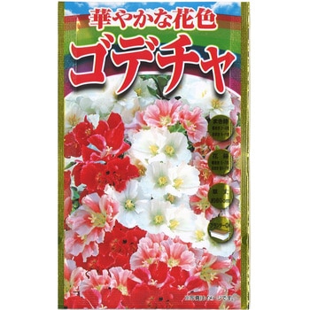 注文コード:61605409 【タネ】 華やかな花色 ゴデチャ アタリヤ農園