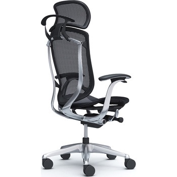 注文コード:62591824 コンテッサセコンダ、固定肘、固定ヘッド、座メッシュ、ハンガー付、ランバー無、ブラックB、ポリッシュ、脚ポリッシュ、ウレタン オカムラ(岡村製作所)