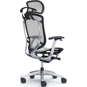 注文コード:62591849 コンテッサセコンダ、固定肘、固定ヘッド、座メッシュ、ハンガー付、ランバー無、ブラックB、ポリッシュ、脚ポリッシュ、ウレタン オカムラ(岡村製作所)