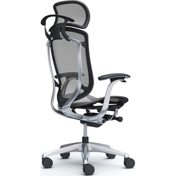 注文コード:62591919 コンテッサセコンダ、固定肘、固定ヘッド、座メッシュ、ハンガー付、ランバー無、ブラックB、ポリッシュ、脚ポリッシュ、ウレタン オカムラ(岡村製作所)