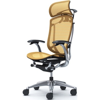 注文コード:62591946 コンテッサセコンダ、固定肘、固定ヘッド、座メッシュ、ハンガー付、ランバー無、ブラックB、ポリッシュ、脚ポリッシュ、ウレタン オカムラ(岡村製作所)