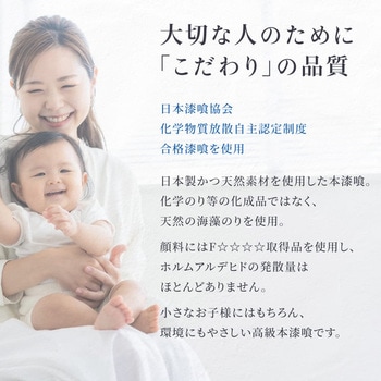 注文コード:65318648,65318657,65318666,65318675,65318691,65318700,65318709,65318718,65318727,65318736,65318745,65318761,65318770,65318779,65318788 外壁用練り漆喰プレミアム 20kg - PROST's