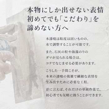 注文コード:65318648,65318657,65318666,65318675,65318691,65318700,65318709,65318718,65318727,65318736,65318745,65318761,65318770,65318779,65318788 外壁用練り漆喰プレミアム 20kg - PROST's