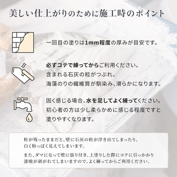 注文コード:65318648,65318657,65318666,65318675,65318691,65318700,65318709,65318718,65318727,65318736,65318745,65318761,65318770,65318779,65318788 外壁用練り漆喰プレミアム 20kg - PROST's