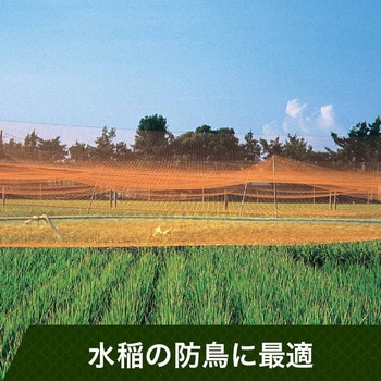 注文コード:64421107,64421116,64421125,64421134,64421150,64421159,64421168,64421177,64421186,64421195,64421204,64421220,64421229,64421238,64421247,64421256,64421265,64421274,64421290,64421299,64421308,64421317,64421326,64421335,64421344,64421360,64421369,64421378,64421387,64421396,64421405,64421414,64421430,64421439,64421448,64421457,64421466,64421475,64421484,64421500,64421509,64421518,64421527,64421536,64421545,64421554,64421570,64421579,64421588,64421597 PE防鳥網(400D)オレンジ - 東京戸張