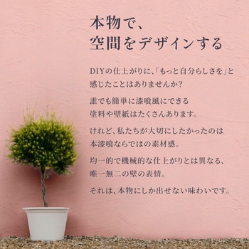 注文コード:65318648,65318657,65318666,65318675,65318691,65318700,65318709,65318718,65318727,65318736,65318745,65318761,65318770,65318779,65318788 外壁用練り漆喰プレミアム 20kg - PROST's