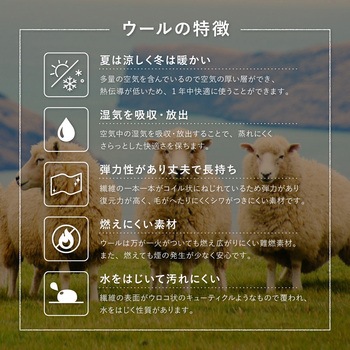 注文コード:65584709,65584718,65584727,65584736,65584745,65584761 ウールチェアパッド dotto 萩原