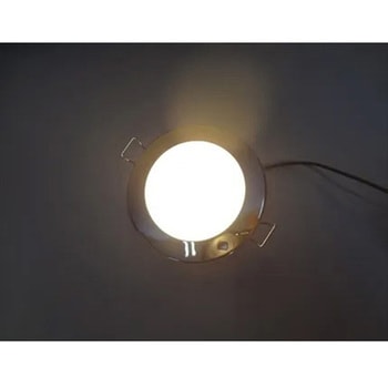 注文コード:65994769 LEDダウンライト 電球色 DC24V マリンテック