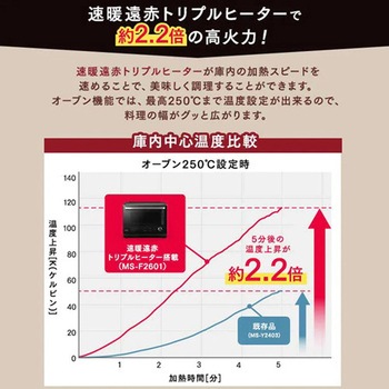注文コード:70446619 スチームオーブンレンジ - エスコ