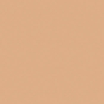 注文コード:70782802,70787072 ひとりで塗れるもん オンザウォール