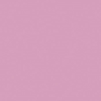 注文コード:70785812,70790082 ひとりで塗れるもん オンザウォール