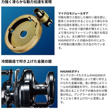 注文コード:71599441 オシアジガーエフカスタム - SHIMANO(シマノ)