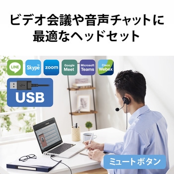 注文コード:72830888 ヘッドホン ヘッドセット マイク付き 有線 USB接続 イヤーフックタイプ ミュートスイッチ付き 無指向性 軽量 テレワーク WEB会議 オンライン授業 ブラック - エレコム