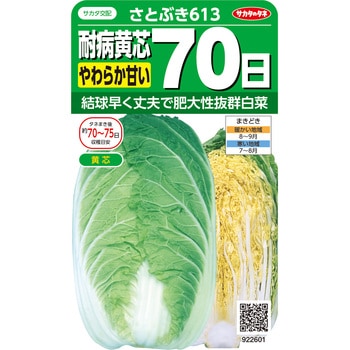 ハクサイ さとぶき613 サカタのタネ