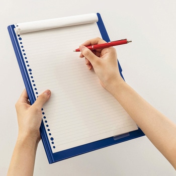 注文コード:75693513,75693529,75693538,75693547,75693556 フラップ式ホルダー LION (ライオン事務器)