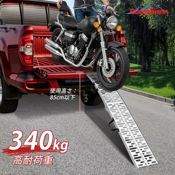 注文コード:79950729 ラダーレール 長さ222.5cm 耐荷重340kg/本 - Ruedamann