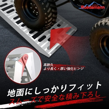 注文コード:79950729,82264266 ラダーレール 長さ222.5cm 耐荷重340kg/本 - Ruedamann