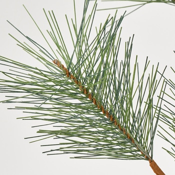 注文コード:80188598 みやこ松 MAGIQ(東京堂)