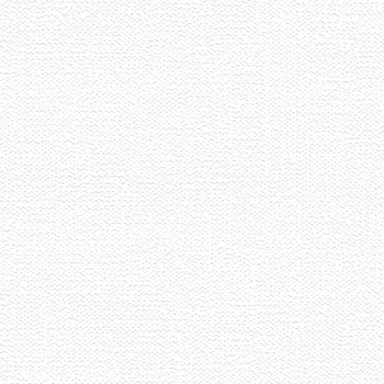 注文コード:80198538,80202056,80205574,80209099,80212617,80216135,80219660,80223178,80226696,80230214,80233739,80237257,80240775,80244300 一般壁紙 VWALL タフクリーン リリカラ