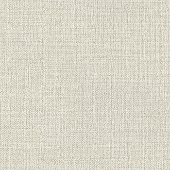 注文コード:80198574,80202099,80205617,80209135,80212660,80216178,80219696,80223214,80226739,80230257,80233775,80237300,80240818,80244336 一般壁紙 VWALL タフクリーン リリカラ