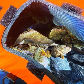 注文コード:81288615 ST FISH BASKET(STフィッシュバスケット) - STREAM TRAIL