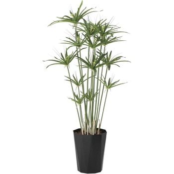 注文コード:81721406 パピルス1.25 アートクリエーション