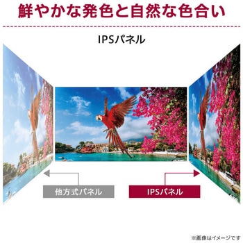 注文コード:81741235 23.8インチ 液晶ディスプレイ(1920x1080/IPS/アンチグレア/TypeC(PD65W)/HDMI/DP/スピーカー/高さ調整/ピボット/スイベル/3年保証) - LG