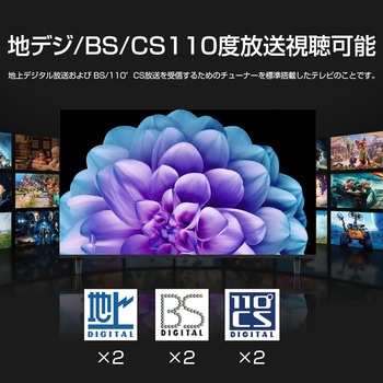 注文コード:81996979,81996988,81996997 QLED4K GoogleTV搭載3W2Tチューナー内蔵スマートテレビ - WIS