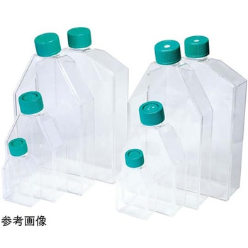 注文コード:82029416,82029635,82029897,82029949,82030290,82030378,82030676,82030990 SPL セルカルチャーフラスコ 表面処理あり / 滅菌済 - SPL Life Sciences