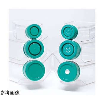 注文コード:82029416,82029635,82029897,82029949,82030290,82030378,82030676,82030990 SPL セルカルチャーフラスコ 表面処理あり / 滅菌済 - SPL Life Sciences