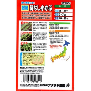 注文コード:82042497 【種 たね タネ】暑い季節にも! 耐暑時なし 小 かぶ - アタリヤ農園