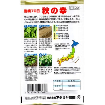 注文コード:82042506 【種 たね タネ】耐病70日 秋の幸 白菜 はくさい - アタリヤ農園