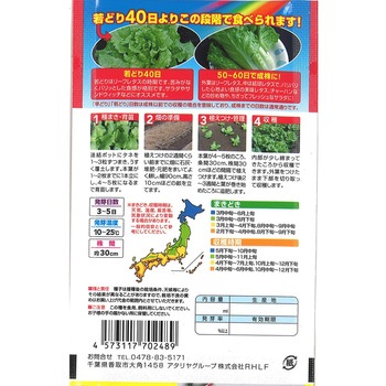 注文コード:82042531 【種 たね タネ】早どり ミニ レタス - アタリヤ農園