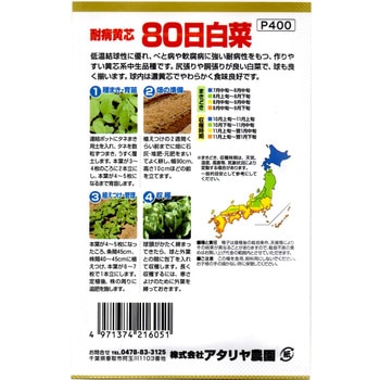 注文コード:82042567 【種 たね タネ】耐病黄芯 80日 白菜 はくさい - アタリヤ農園