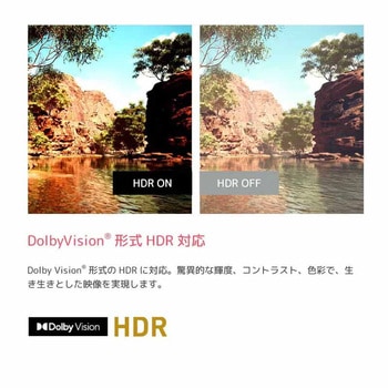 注文コード:82051789 ORION 50型4K対応スマートテレビ - オリオン(ORION)